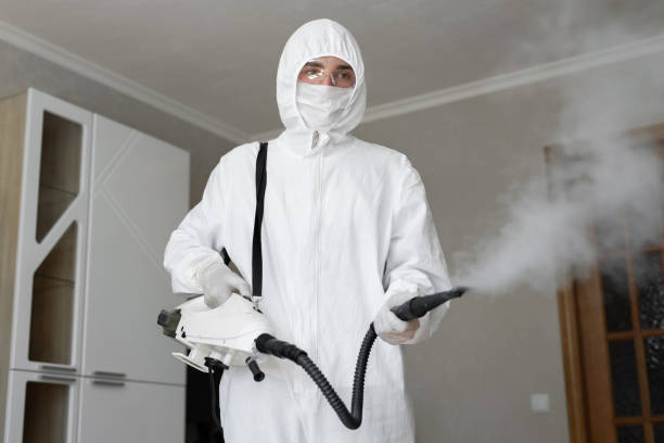 Why You Should Choose Our Mold Remediation Services in Toro Canyon, CA